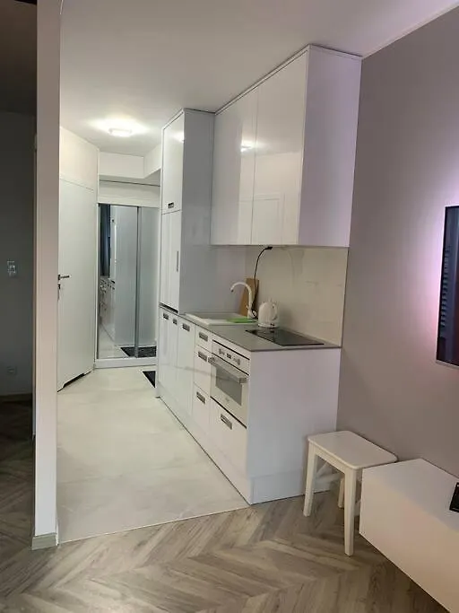 Apartment Apart 86A Angielska Grobla 5 -Gdansk Srodmiescie